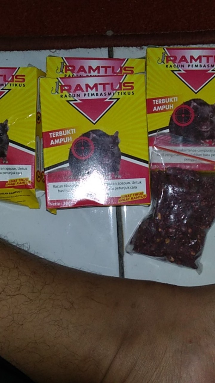 Racun Tikus Ramtus Asli Alami Mati Kering Tidak Bau Pembasmi Pengusir Tikus Super Paling Ampuh 4pack