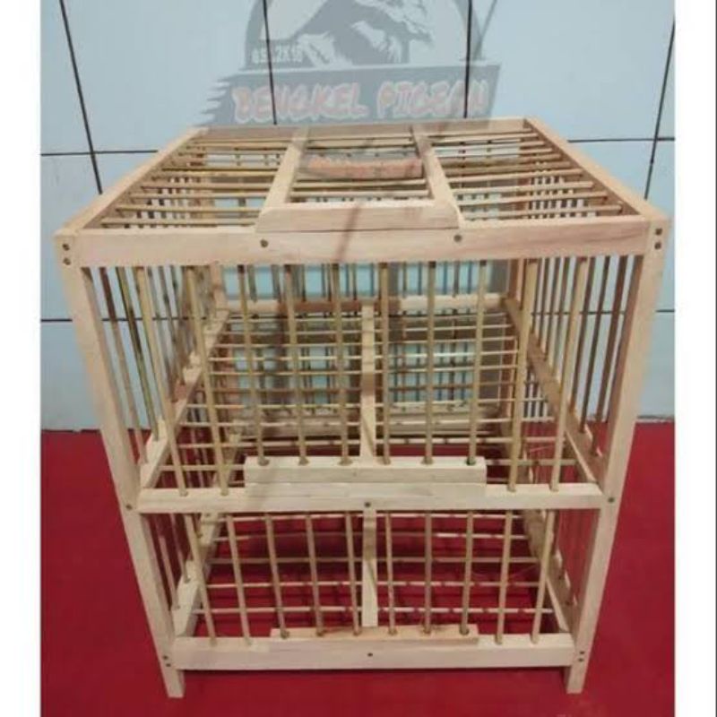 dondang dongdang kandang merpati balap 2 pintu