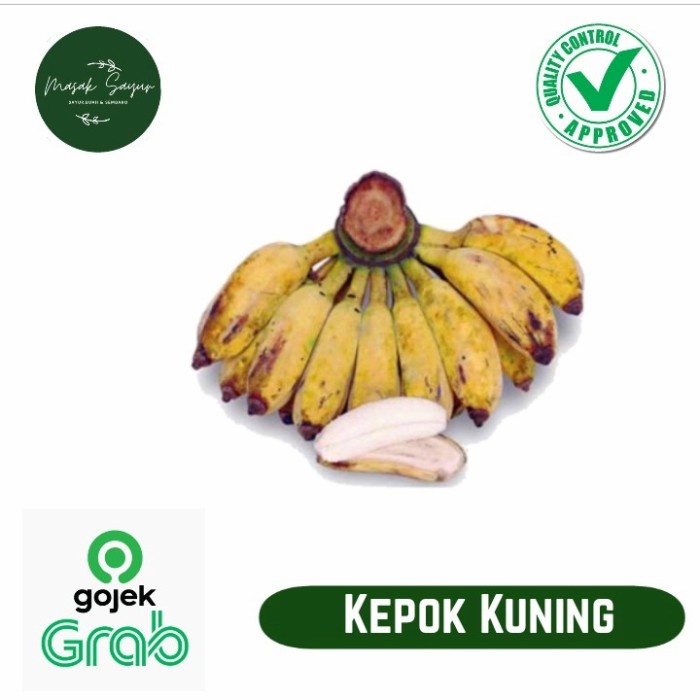 

kepok kuning