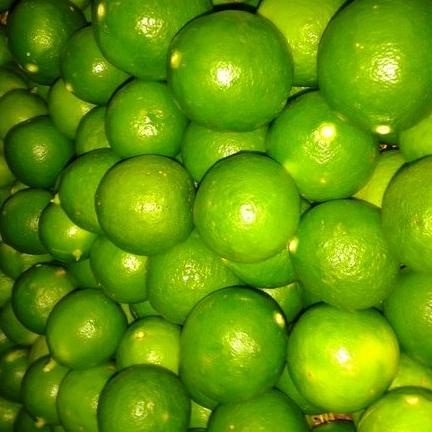 

PROMO JERUK NIPIS 1 KG LIMITED EDITION