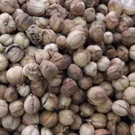 

Kapulaga / Obat Herbal Alami / Jamu Herbal Alami (250gr)