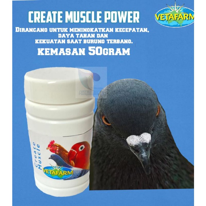 CREATE MUSCLE POWER 50gram