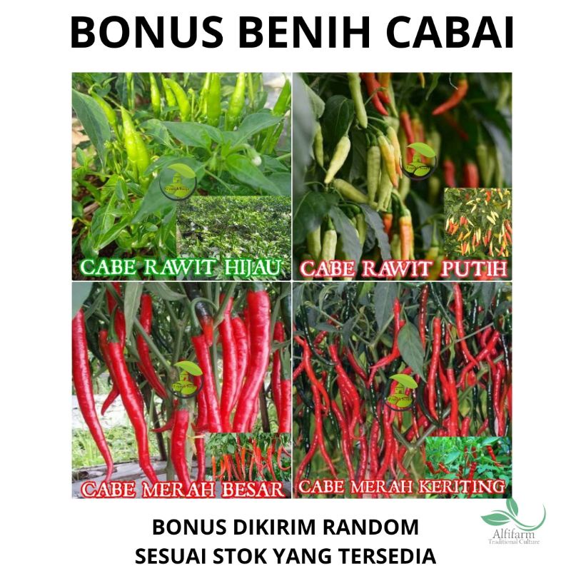 MKP + KNO3 PUTIH KEMASAN REPACK PUPUK BUAH DAN SAYUR