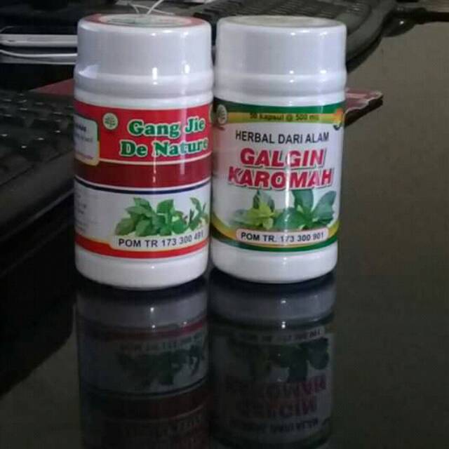 OBAT BATU GINJAL DE NATURE INDONESIA