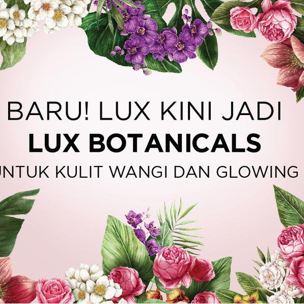 [KODE W448] Lux Soft Rose Sabun Cair Botol 250Ml