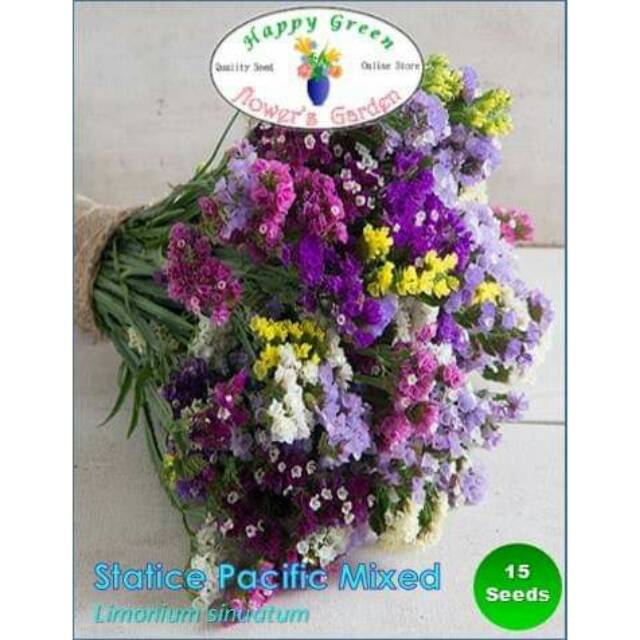Benih Biji bunga statice Mix