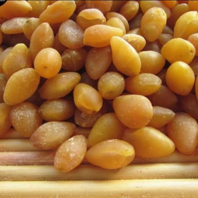 

Bai Gou Bersih / Pek Ko / Gingko 100gram