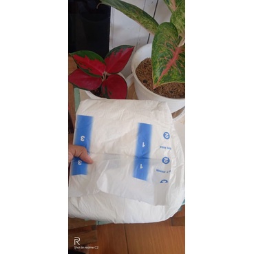 popok perekat DEWASA mom & dad M,L,XL