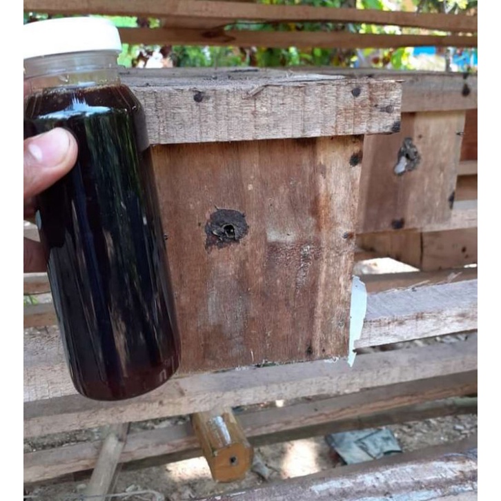 

madu asli madu jawa madu murni madu lokal madu enak madu manis madu sumatra