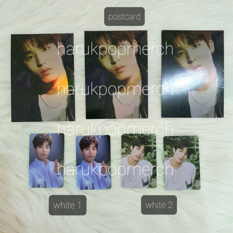 [Official PC & Postcard] Park Jeongwoo - Treasure The First Step Chapter 3 Album Photocard