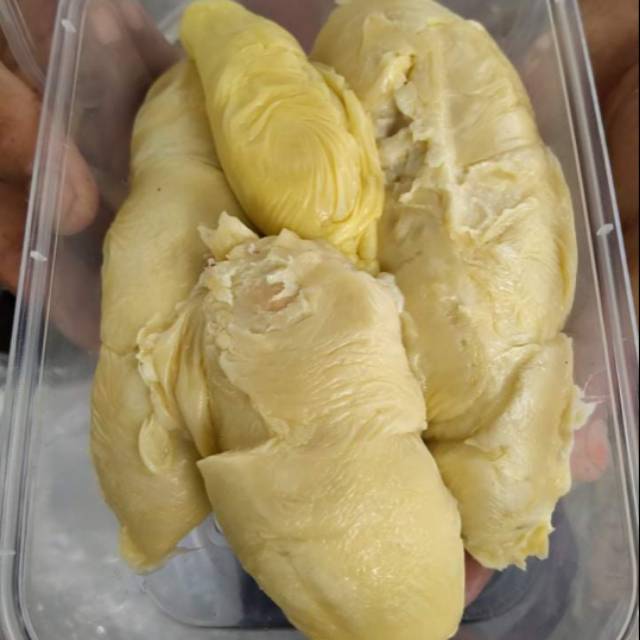 

Durian manis pait legit