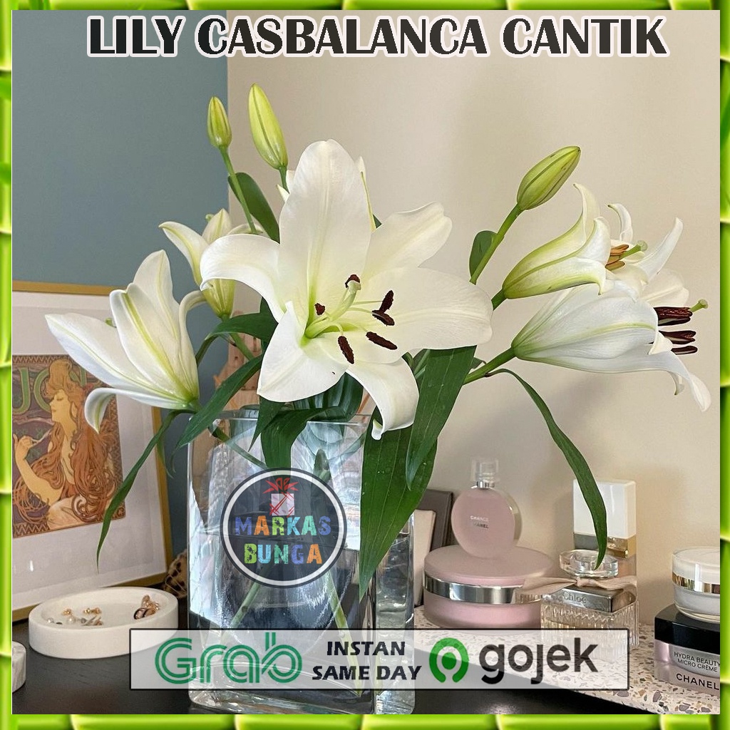 bunga lily casablanca fresh