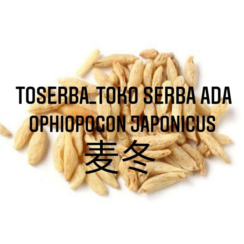 

100gr Herbal Mai Dong 麦冬 Mian Dong 绵冬 Ophiopogon Japonicus Ophiopogon Tuber Radix Ophiopogonis
