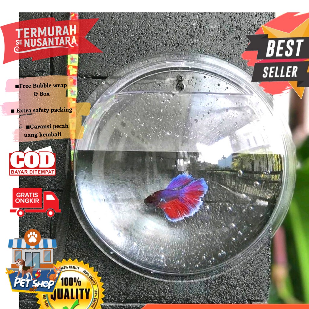 Aquarium dinding tempel  untuk tanaman + ikan cupang / AQUARIUM / AQUARIUM KACA / AQUASCAPE / VAS