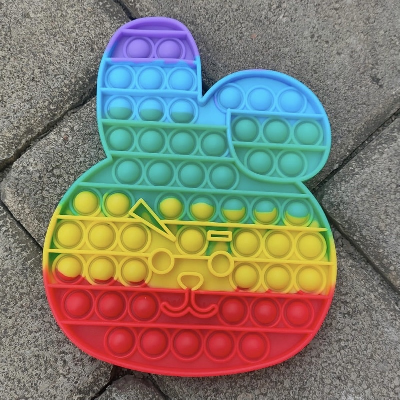 Pop It Fidget Toy Murah Rainbow Mainan Anak Penghilang Stress Tiktok-COOKY rgb