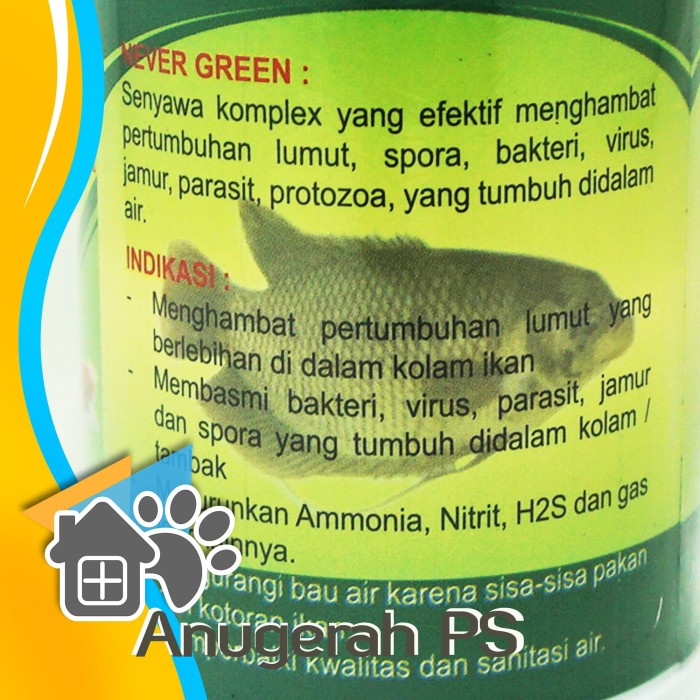 

Fe01Gg Anti Lumut Never Green 250 Ml F30E1F111