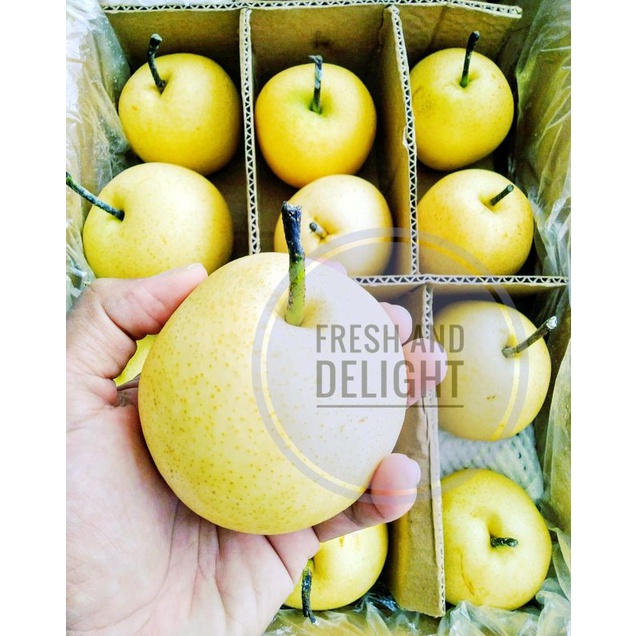 

Pear Century Fresh Import Premium