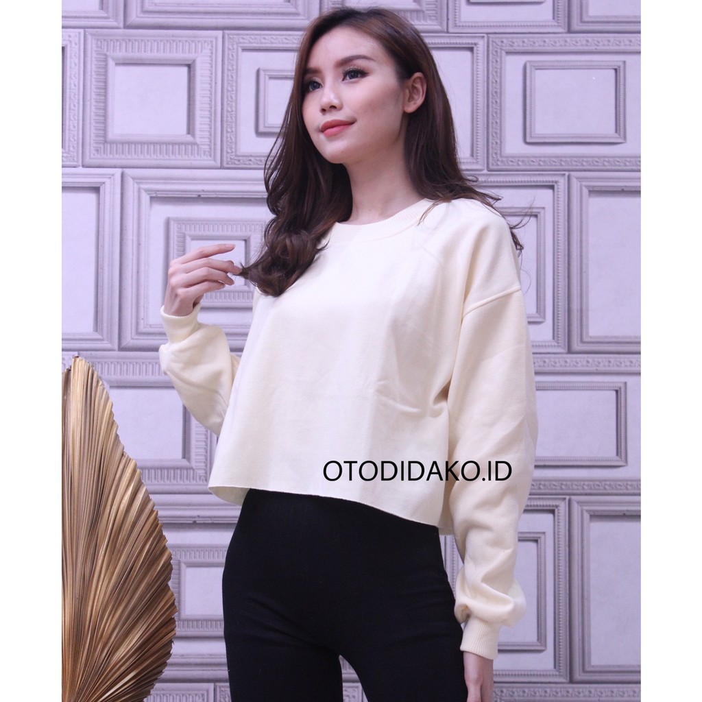 [BAYAR DITEMPAT] BASIC SWEATER CROP ALLSIZE & BIG SIZE-4