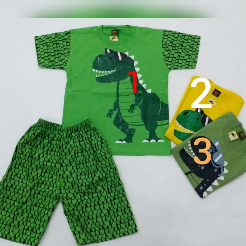 Setelan Anak Laki Laki Hayami Buaya 2- baju anak cowok usia 9 10 11 tahun murah import model baru