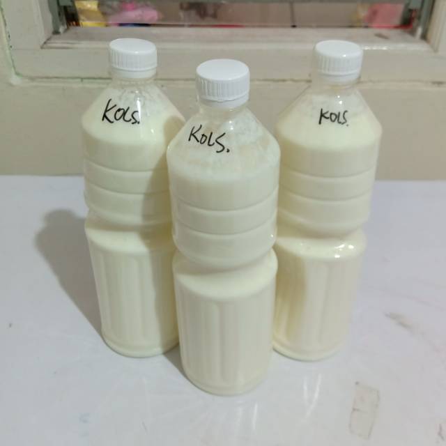 Kolostrum susu kefir sapi 1 liter