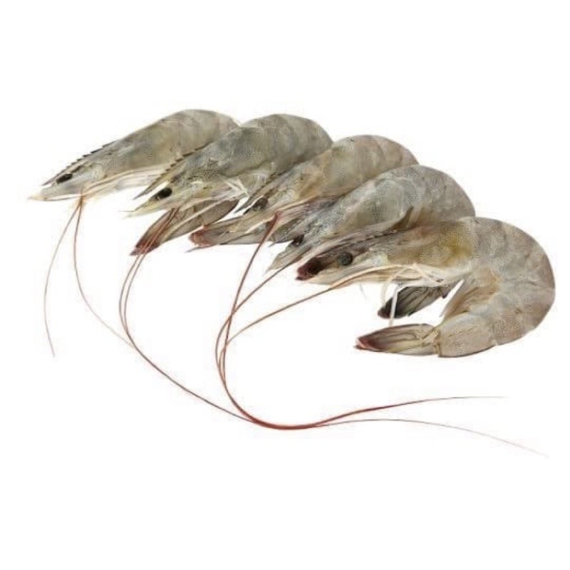 

udang peci udang jerbung udang paname vanamae 500gram