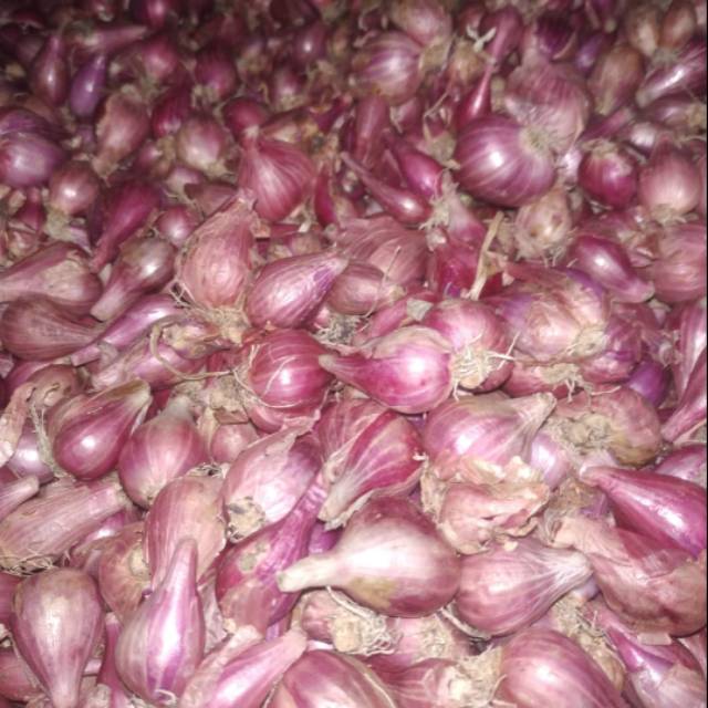 

Bawang merah