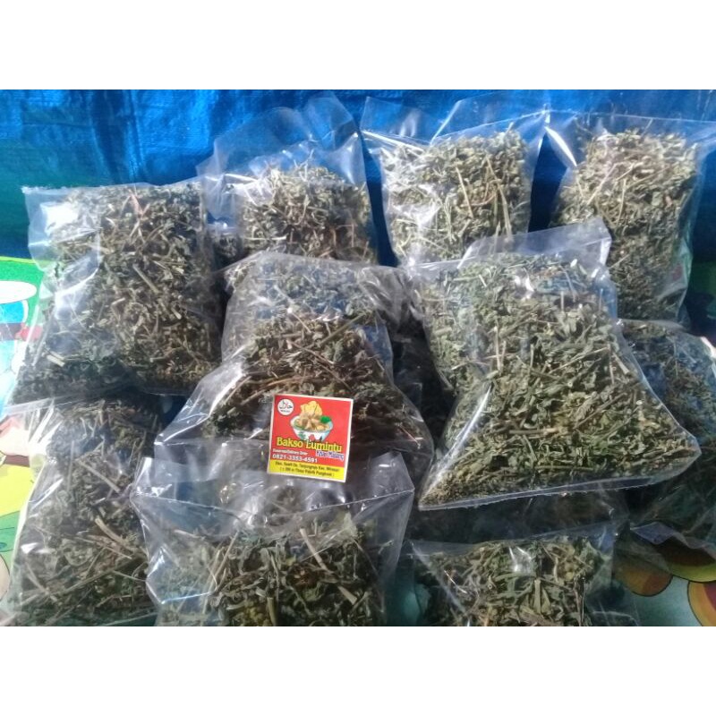 Daun Katemas kering 100 Gram, kate mas , patik mas , suduk mentul kering original ( herbal pencuci p