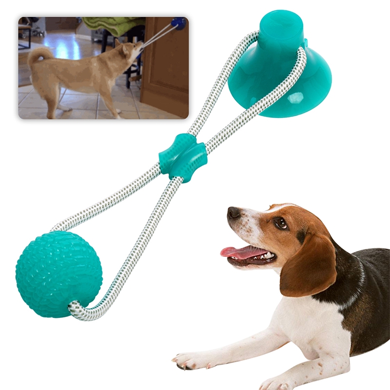 dog suction cup toy