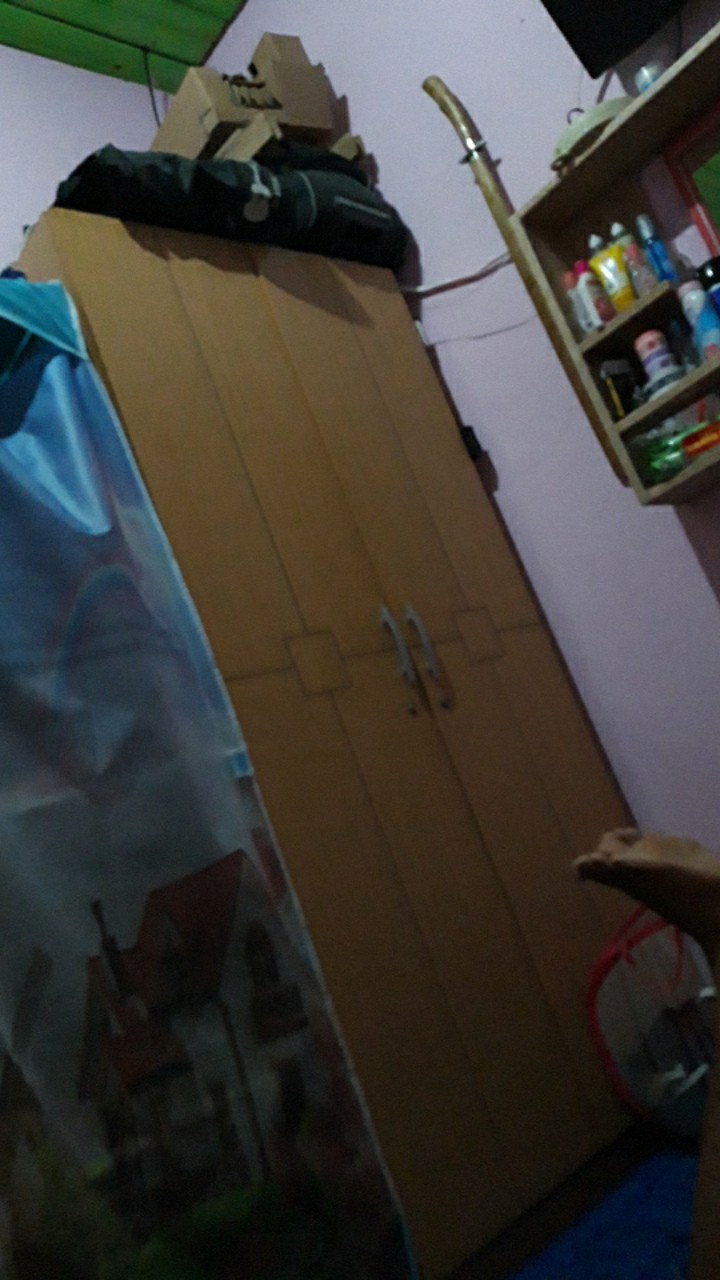 Insektisida Pembasmi Ulat, Kutu, Dan Serangga Curacron