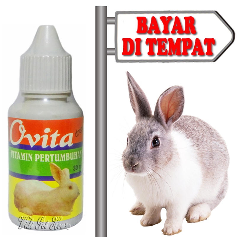 Vitamin Pertumbuhan Kelinci Nafsu Makan Ovita