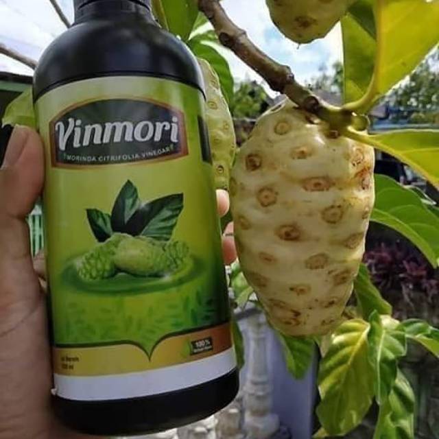 

Vinmori