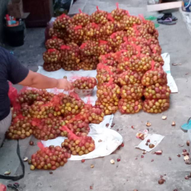 

BUAH MATOA PAPUA uk. 1kg