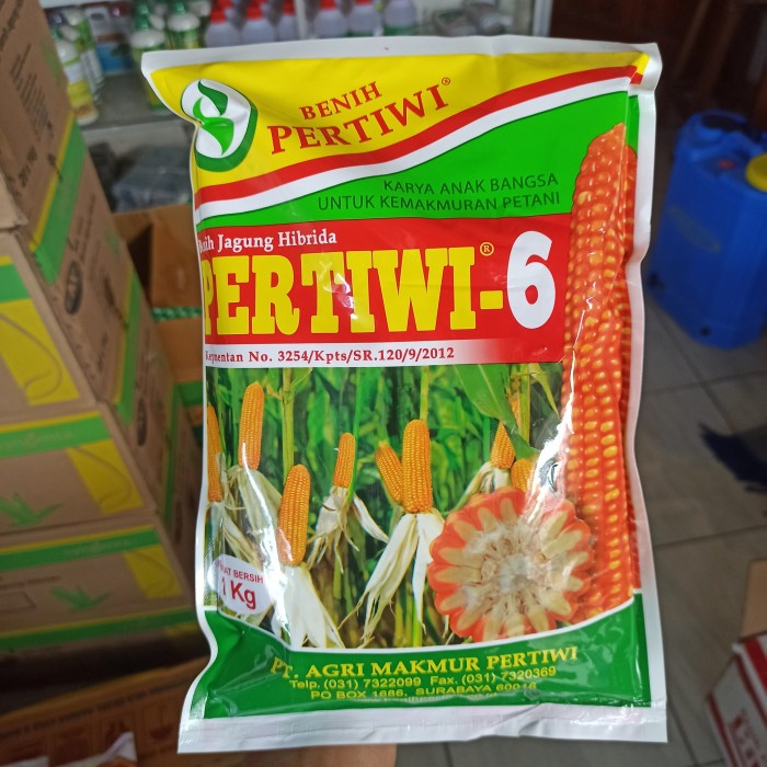 Benih Jagung Hibrida Pertiwi 6 1 KG