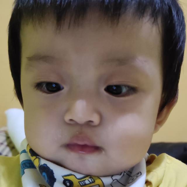 christianchristianhadisutanto