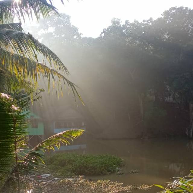 milaaashimatuzzahroh