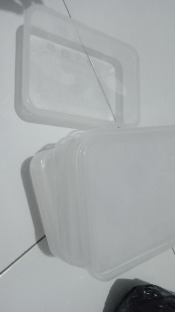 Thinwall 500ml/thinwall Persegi/kotak Makan Plastik/food Container