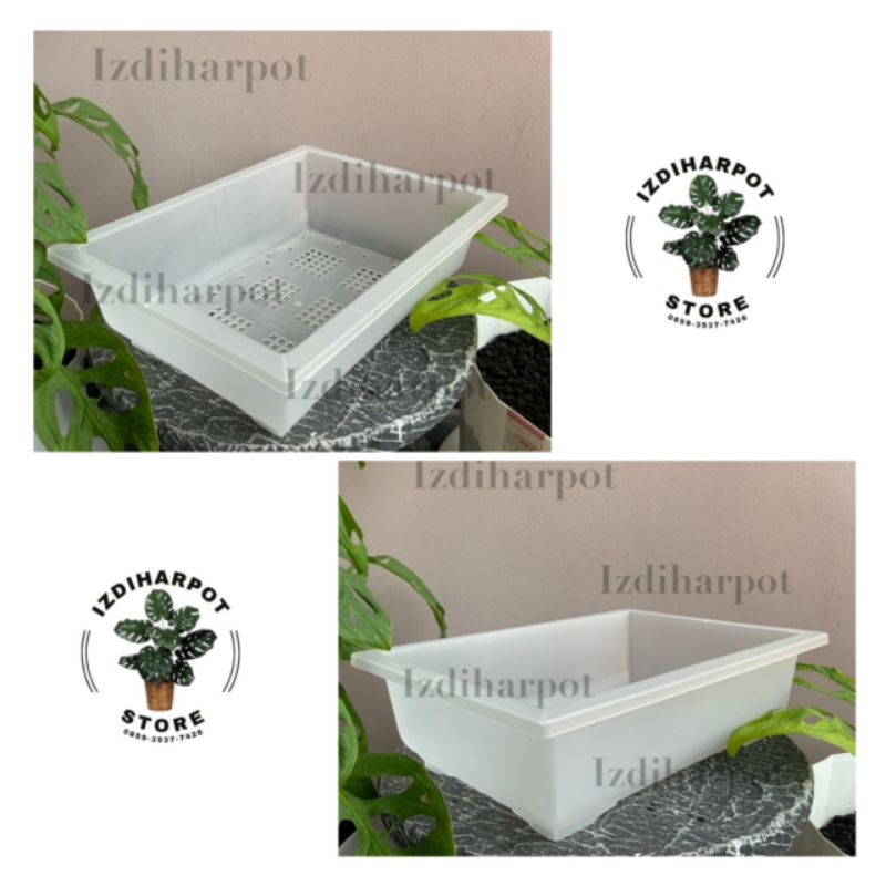 pot bunga tanaman ceper NKT BONSAI BENING TRANSPARAN - NKT BONSAI 02