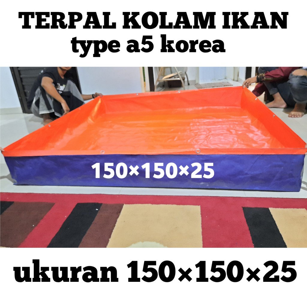 Kolam Ikan Terpal Ukuran 150x150x25 Swrbaguna Dan Murah Typea5 Korea Biru Oren Bisa Cod Shopee Indonesia