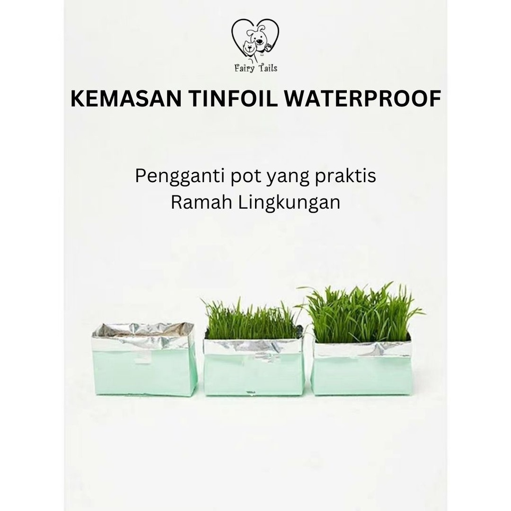 Rumput Untuk Kucing Premium Benih Gandum Organik Langsung Tanam Kemasan TinFoil Praktis Untuk Mencegah Muntah Akibat Bola Bulu Hairball / Wheat Grass For Cat