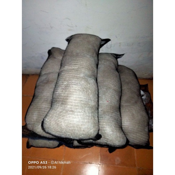 filter kolam ikan koi jaring nelayan