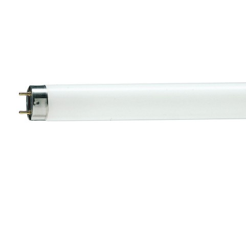 Philips Lampu TL-D 18W/54-765 1SL/30