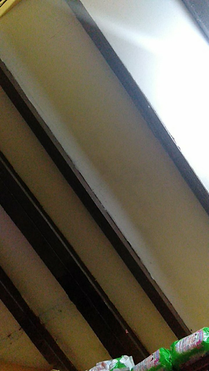 Payung Anak Buka Otomatis Banyak Warna Merk Osaka