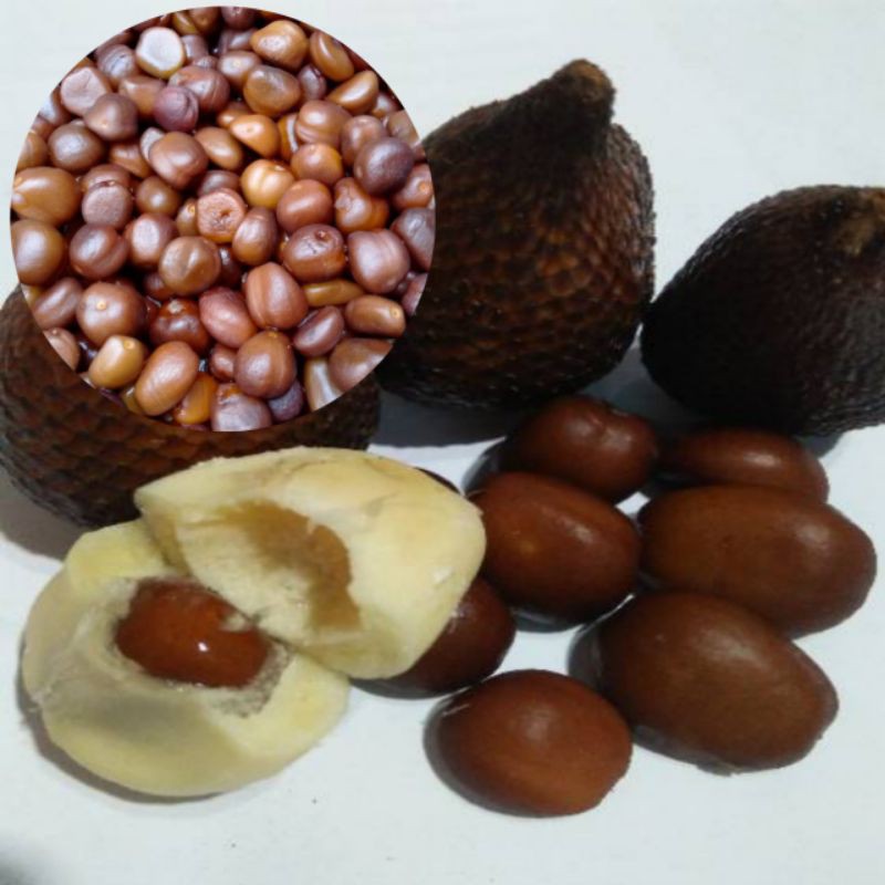 biji salak pondok/biji salak pondoh manis dan enak