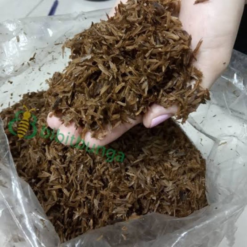 Sekam padi (kulit gabah) untuk media tanam 500gr
