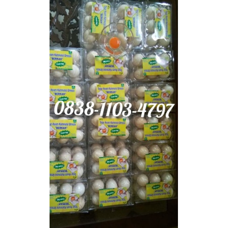 

Telur Ayam Kampung Omega