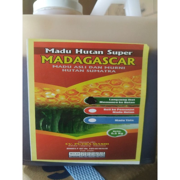 

Madu Hutan Sumatra Madagascar