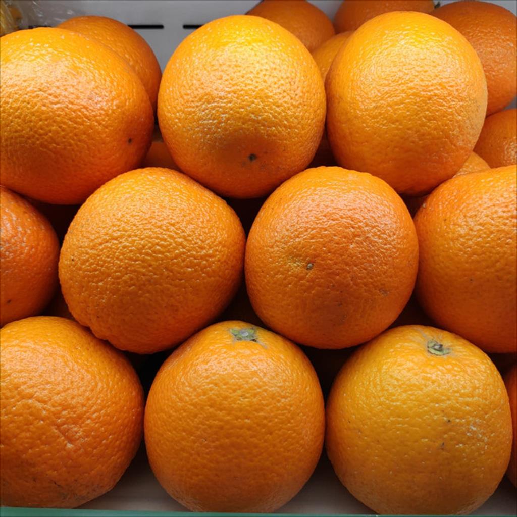

Jeruk Sunkist 1 Kg