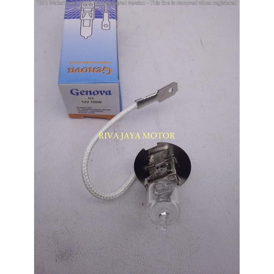 LAMPU BOHLAM HALOGEN H3 12V 100W