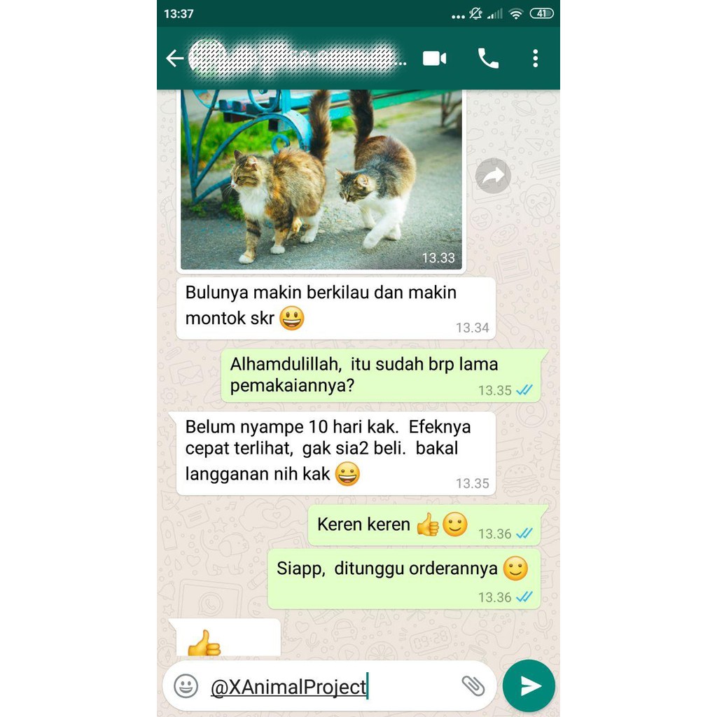 [AB01] MAXCAT MULTIVITAMIN KUCING OBAT KUCING CAT FOOD MAKANAN KUCING PENGGEMUK KUCING