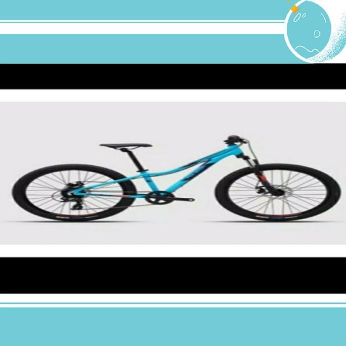 XII SEPEDA MTB 24 POLYGON RELIC - GARANSI RANGKA RESMI 5 TAHUN - FDGDF34545